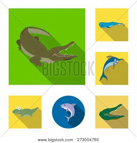Isolated Object Of Water And Drop Symbol. Set Of Water And Splash Vector Icon For Stock.