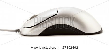 computer mouse