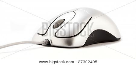 computer mouse