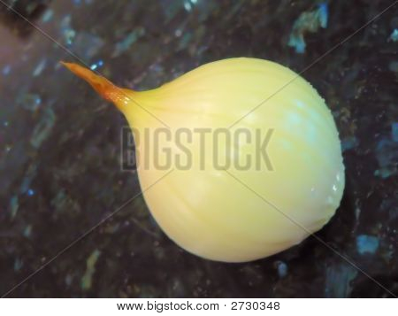Cebola