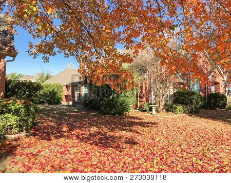 Typical Entrance Of American House In Fall Season With Colorful Tree