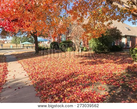 Sidewalk In Front Of American House In Fall Season With Colorful Autumn Leaves