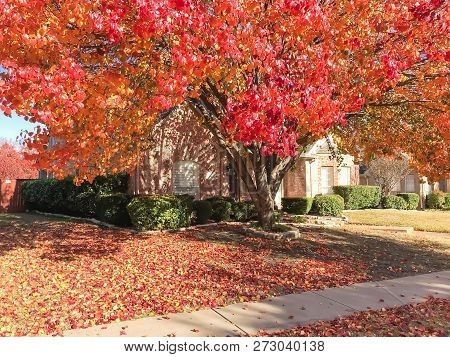 Sidewalk In Front Of American House In Fall Season With Colorful Autumn Leaves