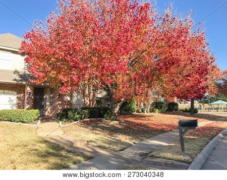 Sidewalk In Front Of American House In Fall Season With Colorful Autumn Leaves