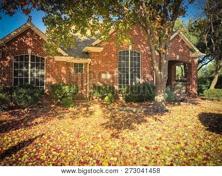 Filtered Image Typical Entrance Of American House In Fall Season With Colorful Tree