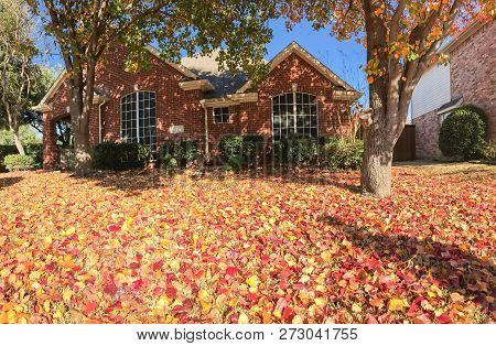Typical Entrance Of American House In Fall Season With Colorful Tree