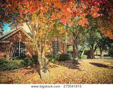 Filtered Image Typical Entrance Of American House In Fall Season With Colorful Tree
