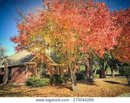 Filtered Image Typical Entrance Of American House In Fall Season With Colorful Tree