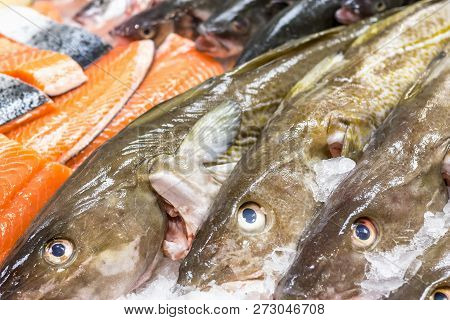 Fresh Cod And Salmon On Ice For Sale At Billingsgate Fish Market In Poplar In London