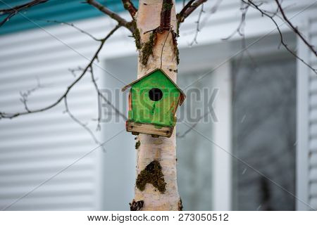 Green Birdhouse For Wintering Birds In The North