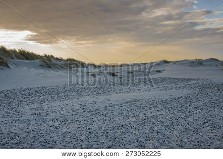 Beach Next To Skagen In The Northern Part Of Denmark.