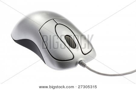 computer mouse