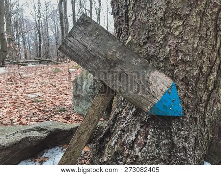 Wooden Trail Sign In A Forest For Hikers Close-up