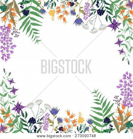 Flowers, Flora, Nature, Frame, Postcard, Holiday, Wedding, Invitation