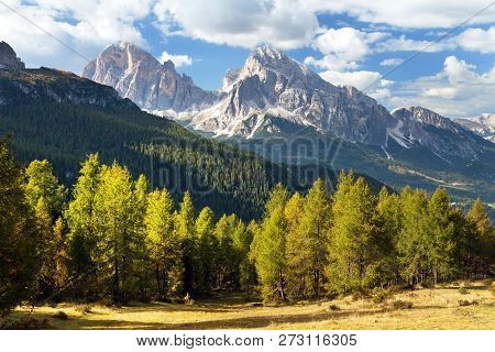 Larch Wood And Tofano, Tofana Or Le Tofane Gruppe, Alps Dolomities Mountains, Italy