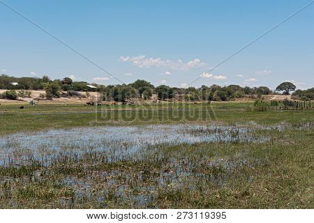 Landscape At Boteti River, Makgadikgadi National Park, Botswana, Africa