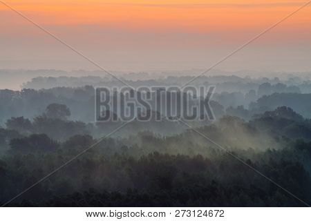 Mystical View From Top On Forest Under Haze At Early Morning. Mist Among Layers From Tree Silhouette
