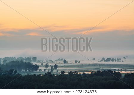Mystic View On Forest Under Haze At Early Morning. Mist Among Tree Silhouettes Under Predawn Sky. Go