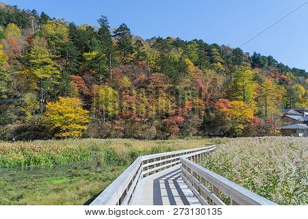 Yumoto Onsen In Autumn, Nikko, Japan