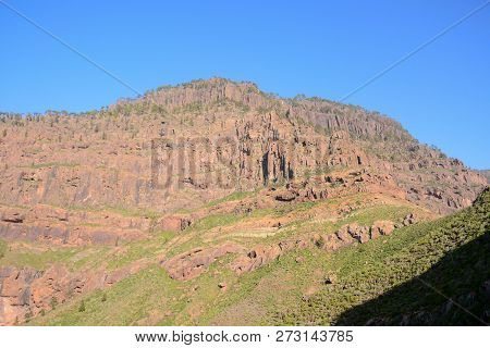 Spanish View Landscape In Gran Canaria Tropical Volcanic Canary Islands Spain