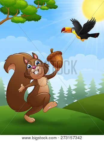 Squirrel And Bird Toucan Cartoon In The Jungle