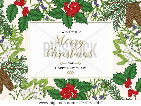 Hand Drawn Christmas Card With Winter Plants. Spruse, Holly, Mistletoe, Juniper And Cones Vector Ill