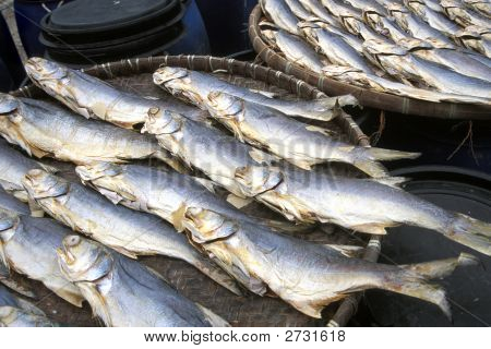 Saltet fisk