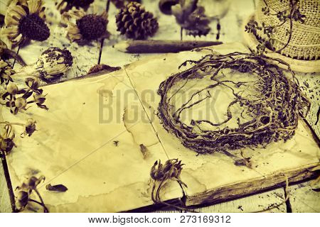 Still Life With Old Diary Book With Empty Pages And Dried Roots And Seeds. Magic Gothic Ritual. Wicc