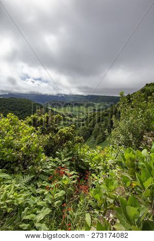 Beautiful Portrait View Of Plant Life Along The Edge Of The Sete Cidades Caldera In Sao Miguel.