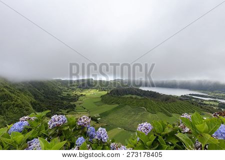 Blue And Purple And Hyndrangeas With The Seca Caldera And Lagoa Azul In The Distance On Sao Miguel.
