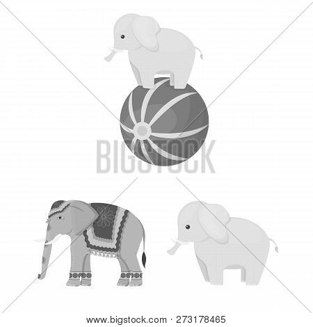 Vector Illustration Of Elephant And Asian Symbol. Collection Of Elephant And Elephant Stock Vector I