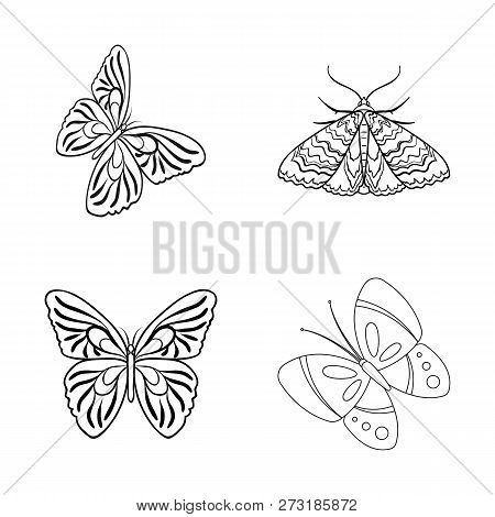 Vector Design Of Color And Spring Icon. Set Of Color And Fly Stock Vector Illustration.
