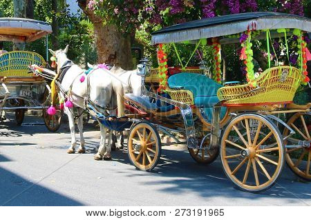 A Traditional Phaeton Is Waiting For Customers In Big Island, Istanbul.
