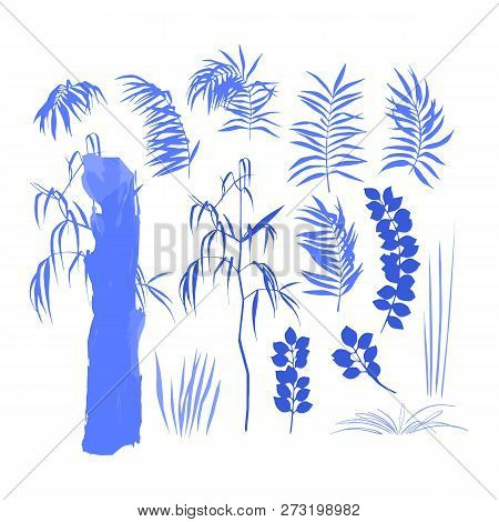 Collection Of Exotic Leaves And Trees Drwan As Graphic Silhouettes