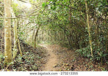 Foothpath To Waterfall At Jetkod-pongkonsao Travel Location In Thailand