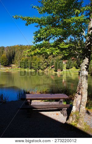 Beautiful Scenery Of The Forest And The Blue Sky Of The Carpathian Ukraine.