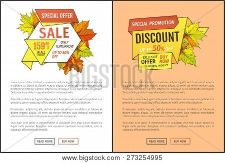 Fifty Percent Discount Special Offer Sale Only Tomorrow. Promo Price 159.90 Advertisement Autumn Pos