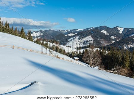 Winter Morning Picturesque Mountain Hill Top With Farmstead Snow Covered And Some Withered Windbreak