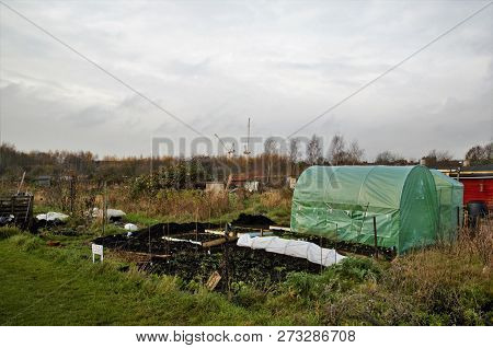 English Allotment Plot In Winter With Polytunnel