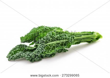 Black Cabbage, Italian Kale Isolated On White Background
