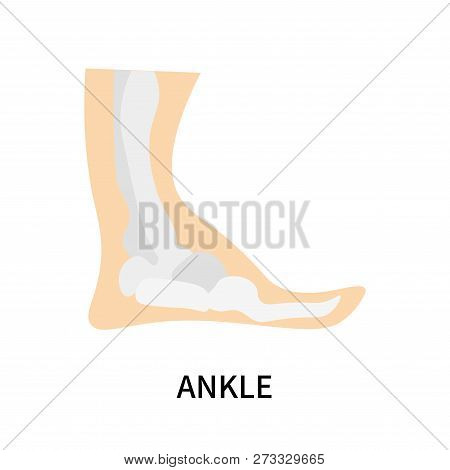 Ankle Icon Isolated On White Background. Ankle Icon Simple Sign. Ankle Icon Trendy And Modern Symbol