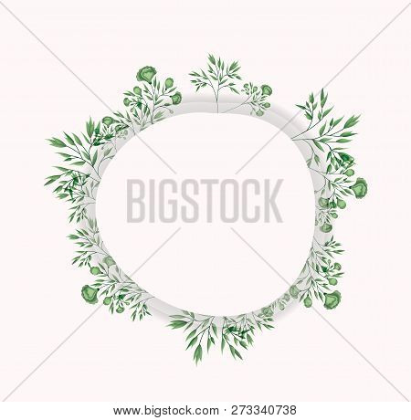 Circular Frame With Laurel Leafs Vector Illustration Design