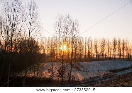 A Tiny Bit Of Snow Shown During Sunrise In A Rural Flemish Landscape, On A January Morning In 2016