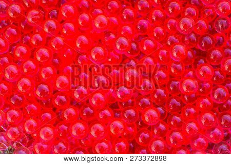 Water Red Gel Balls With Bokeh. Polymer Gel. Silica Gel. Balls Of Red Hydrogel. Crystal Liquid Ball 