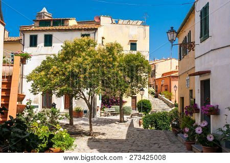 Poggio Is An Old Town In The Elba Island