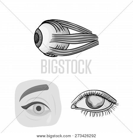 Vector Illustration Of Medical And Eyeball Sign. Collection Of Medical And Optical Stock Symbol For 