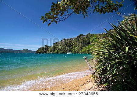 Pláž v Marlborough Sounds