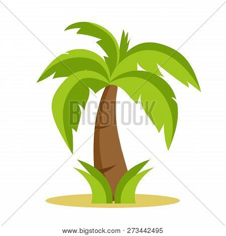 Palm Tree Isolated On White Background. Palm Tree Cartoon Style. Vectors Stock.