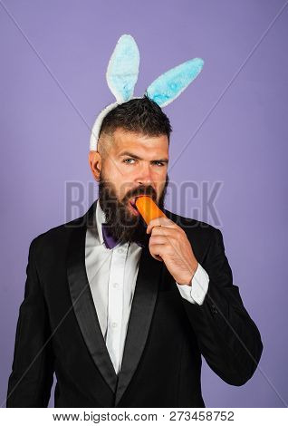 Easter Bunny Man Nibbles A Carrot Like A Hare. Healthy Man On Holiday. Easter Copy Space. Happy East
