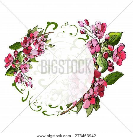 Circle Composition Of Blossoming Pink  Branch Of Apple Tree And Flowers. Hand Drawn Colored  Sketch 